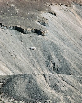 AMELIE REHM <span>CREATIVE PRODUCTION