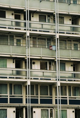 AMELIE REHM <span>CREATIVE PRODUCTION