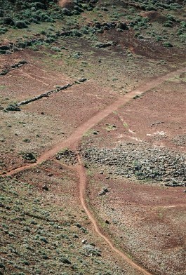 AMELIE REHM <span>CREATIVE PRODUCTION