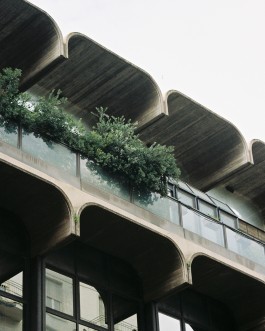 AMELIE REHM <span>CREATIVE PRODUCTION