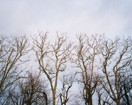 AMELIE REHM <span>CREATIVE PRODUCTION