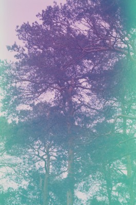 AMELIE REHM <span>CREATIVE PRODUCTION